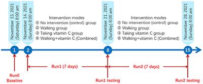 Walking and taking vitamin C alleviates oxidative stress and inflammation in overweight students, even in the short-term